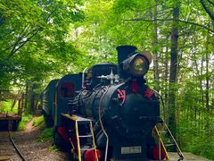 -五营红松林海景区