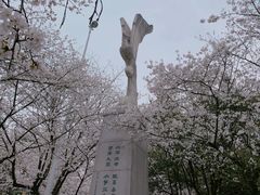 -武汉大学-樱园
