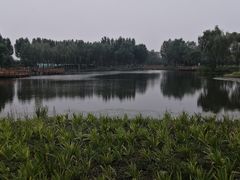 -东郊湿地公园