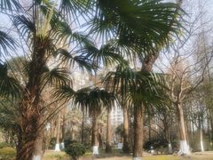 -苏州河梦清园环保主题公园