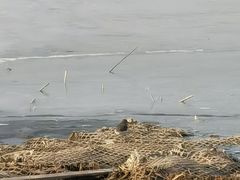 -绿堤公园