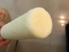 -真老大房鲜肉月饼(南京路步行街店)