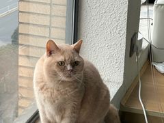 -山之尖健身