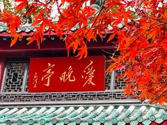 -岳麓山风景名胜区