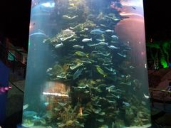 -蓬莱欧乐堡海洋极地世界