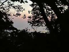-紫金山山顶公园