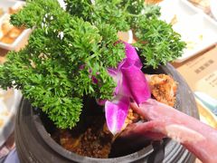 秘制罐罐烤肉（秘制羊排）-万兴佳烤肉·长白山老味道(宏泰广场店)
