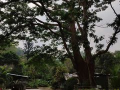 -广州市白云山风景名胜区