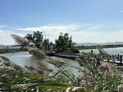 -野鸭湖国家湿地公园