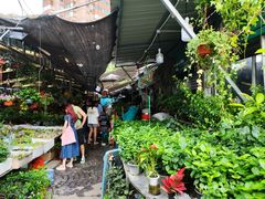 -曲阳花鸟市场(曲阳路店)