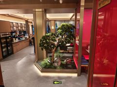 -老家水饺濮阳菜(巴黎街店)