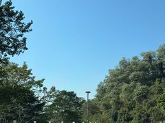 -深圳仙湖植物园