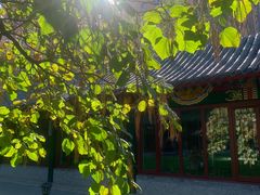 -护国法轮寺