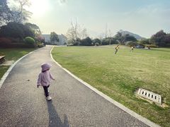 -桃花岛景观公园
