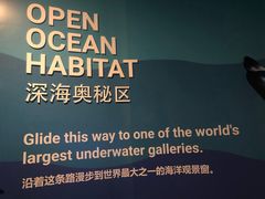-圣淘沙名胜世界