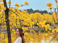 -佛山市三水温泉度假村
