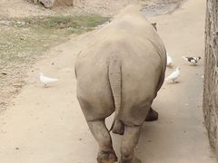 -无锡动物园·太湖欢乐园