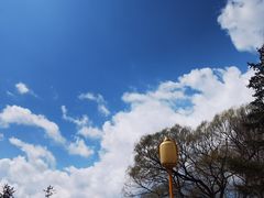 -盛德圆(五台山云龙店)