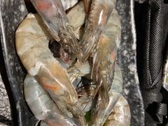 -石煎故事健康烤肉