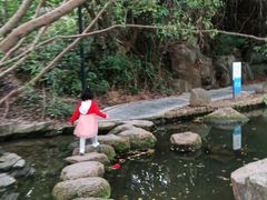 -燕晗山郊野公园