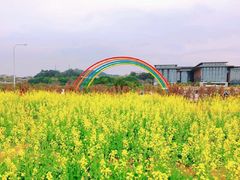 -长洲岛