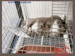 -乐果甜心·潮汕冰室(南澳后宅分店)