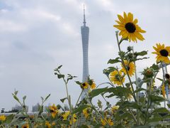 -海心沙亚运公园