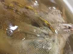 -和乐喜宴海鲜酒家(骏荣广场店)