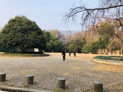 -灵谷景区