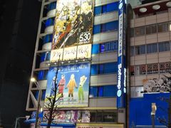 -秋叶原电器街