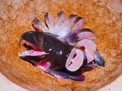 -老福耶小草帽石锅鱼(奥体店)