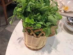 -蕃茄述·好汤自然来(江汉路店)