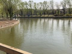 -杨柳青庄园