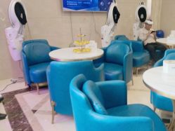 -碧莲盛·不剃发植发