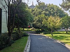 -浙江西子宾馆·牡丹厅