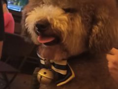 -HIB HUB公社(解放西路店)