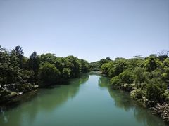 -花溪公园