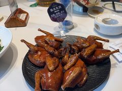 -三强鸽子(胜利路店)