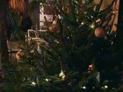 -Ocean's Table 欧舍