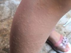 -巨鹏飞梦幻海岸