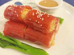 -金龙寨(龙城路店)