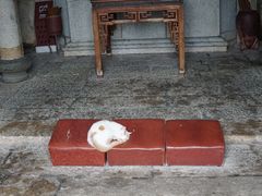 -草庵摩尼教遗址公园