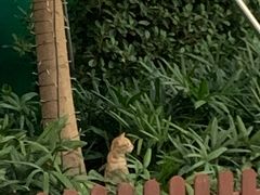 -BeauTea水仙(coco park店)