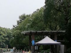 -上海海湾国家森林公园