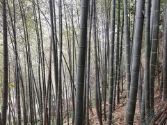 -沣峪森林公园龙潭戏水景区
