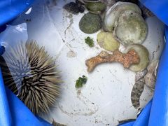 -三亚太阳湾柏悦酒店