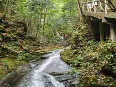 -藏龙百瀑风景区