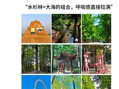 -巧克力渔家.小船海鲜家常菜(万平口店)