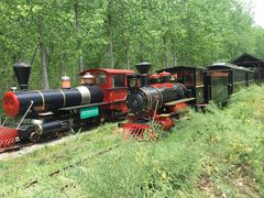 -合肥滨湖国家森林公园