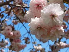 -利群胶州购物广场(澳门路店)